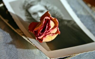 Constell&rsquo;émoi