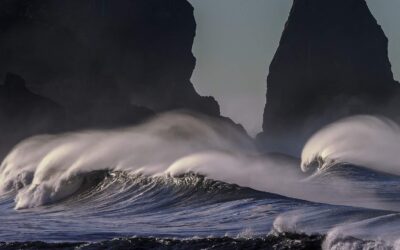 Rien ne sert de lutter, nos émotions arrivent à point