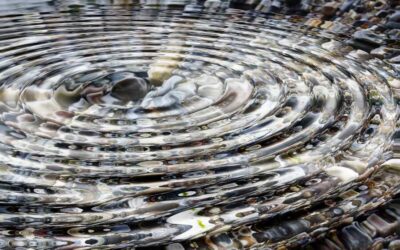 Ça revient comme un boomerang !