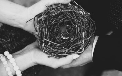 Amour vs Attachement